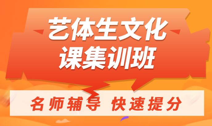 太原杏花岭学大艺考文化课集训